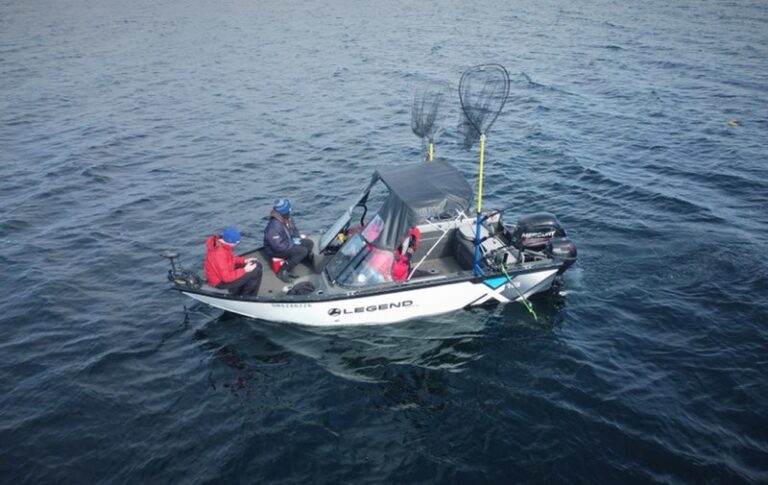 Northern pike fishing packages — Blue Rock Charters – Blue Rock Charters