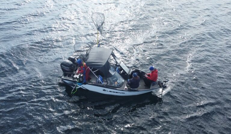 Northern pike fishing packages — Blue Rock Charters – Blue Rock Charters